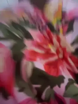 Stripchat Private Sex Chat of CocoaLuxeXXX