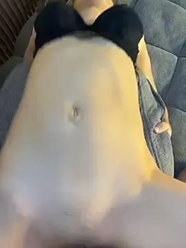Stripchat Free Live Porn of VelvetPassion