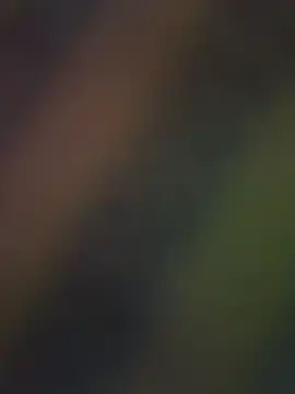Stripchat Live Sex of RinaMood