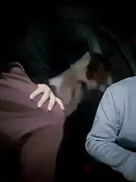 Stripchat Live Porn of TryingWind
