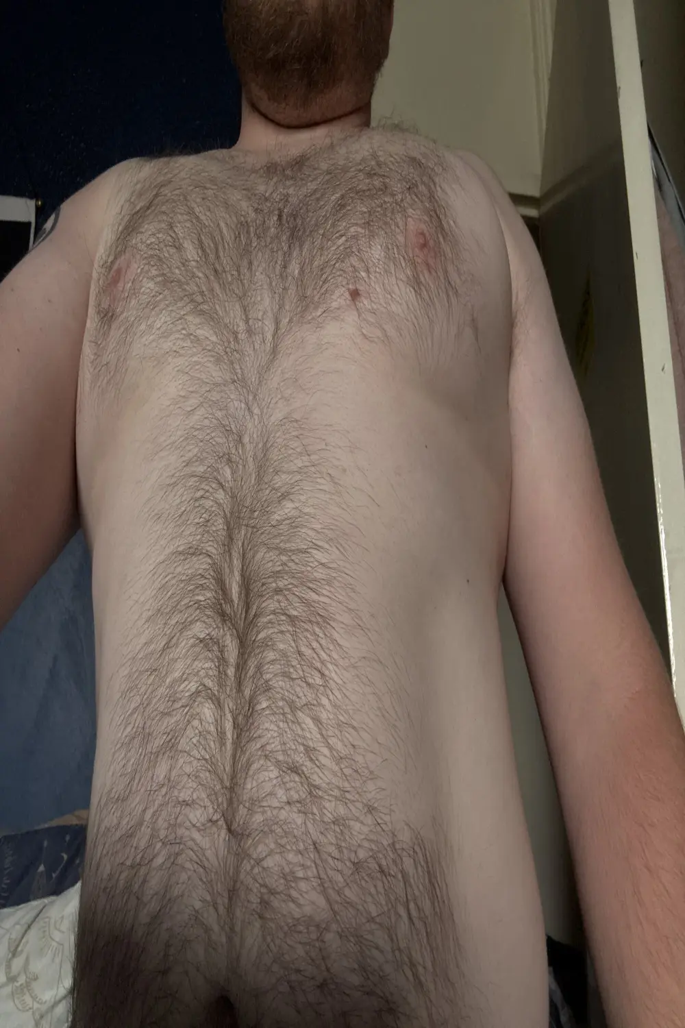 AverageBloke93
