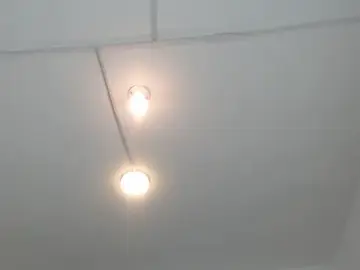 Stripchat Best Webcam of PhillipCox