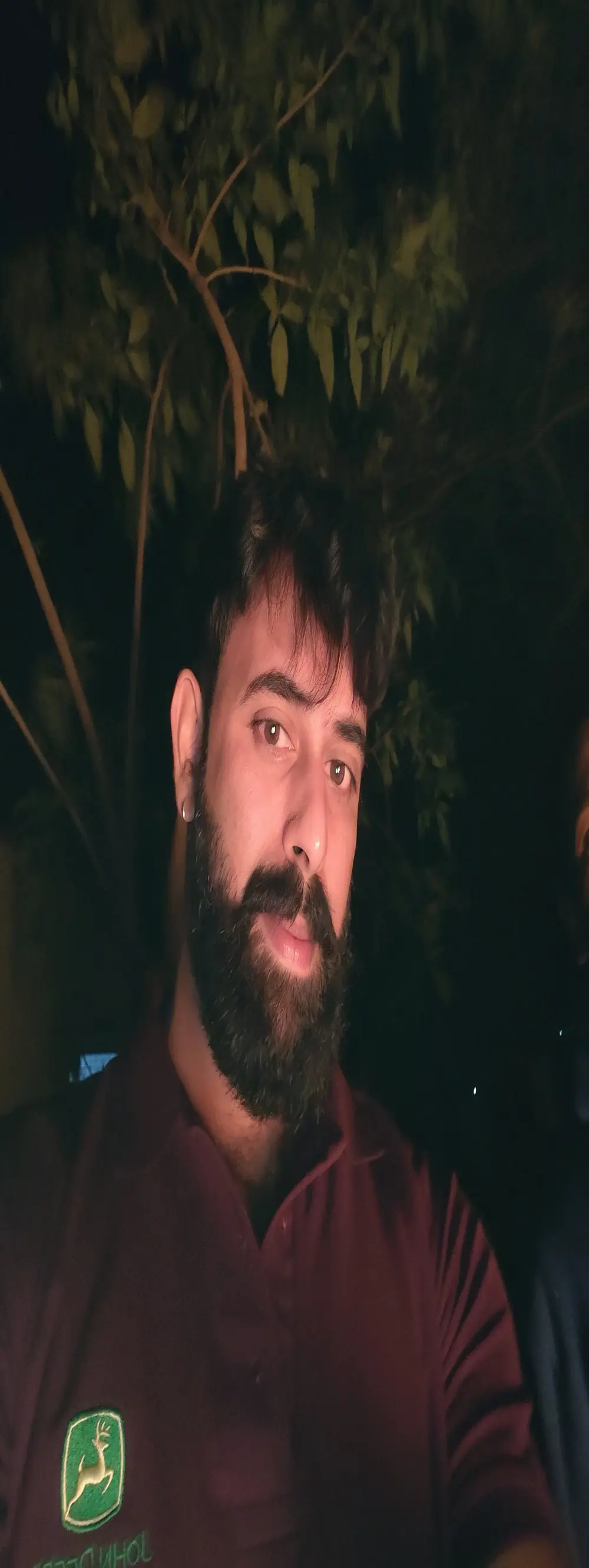 indianhairybull
