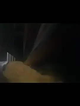 Stripchat Best Webcam of Dr-StoneBrx
