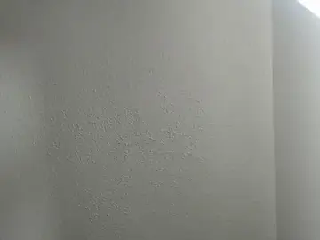 Stripchat Free Porn Cam of Audrey_Parkers