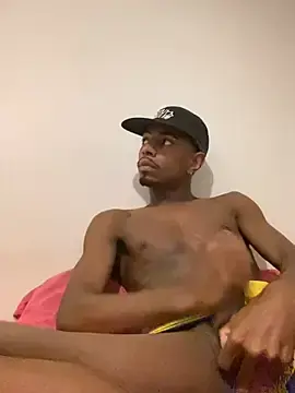 Stripchat Adult Webcam of Guzdick