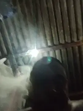 Stripchat Live Sex Cam of BlackBigdogg