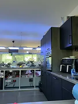 Stripchat Live Porn of newMichelle