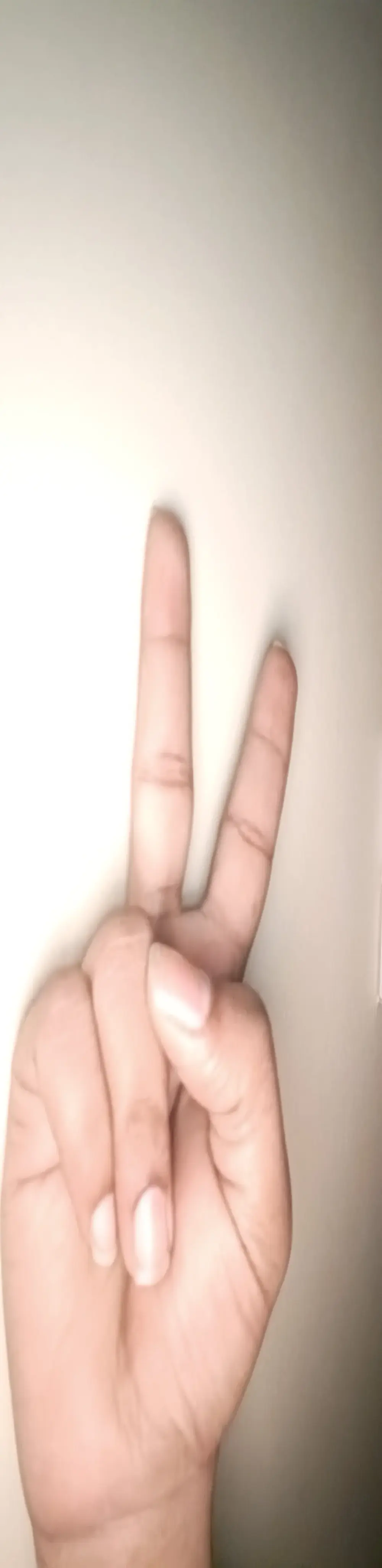bnglrboy0886
