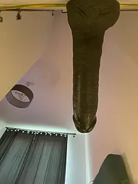 Stripchat Live Sex Cam of Jaropol