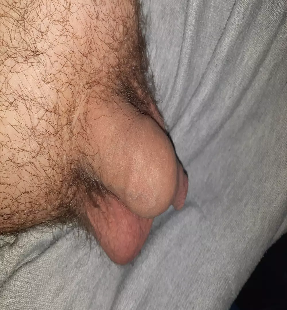 Showcock93@xh