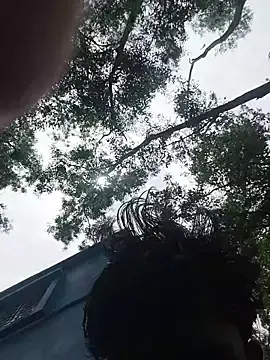 Stripchat Live Sex Cam of 96Rohon