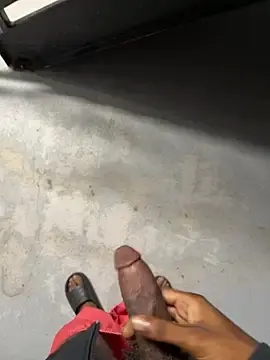 Stripchat Adult Webcam of RiskySlut