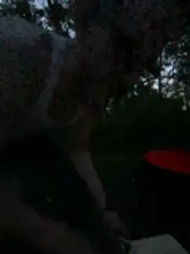 Stripchat Best live sex cam show of teninchty