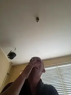 Stripchat Free Porn Cam of piercingpik