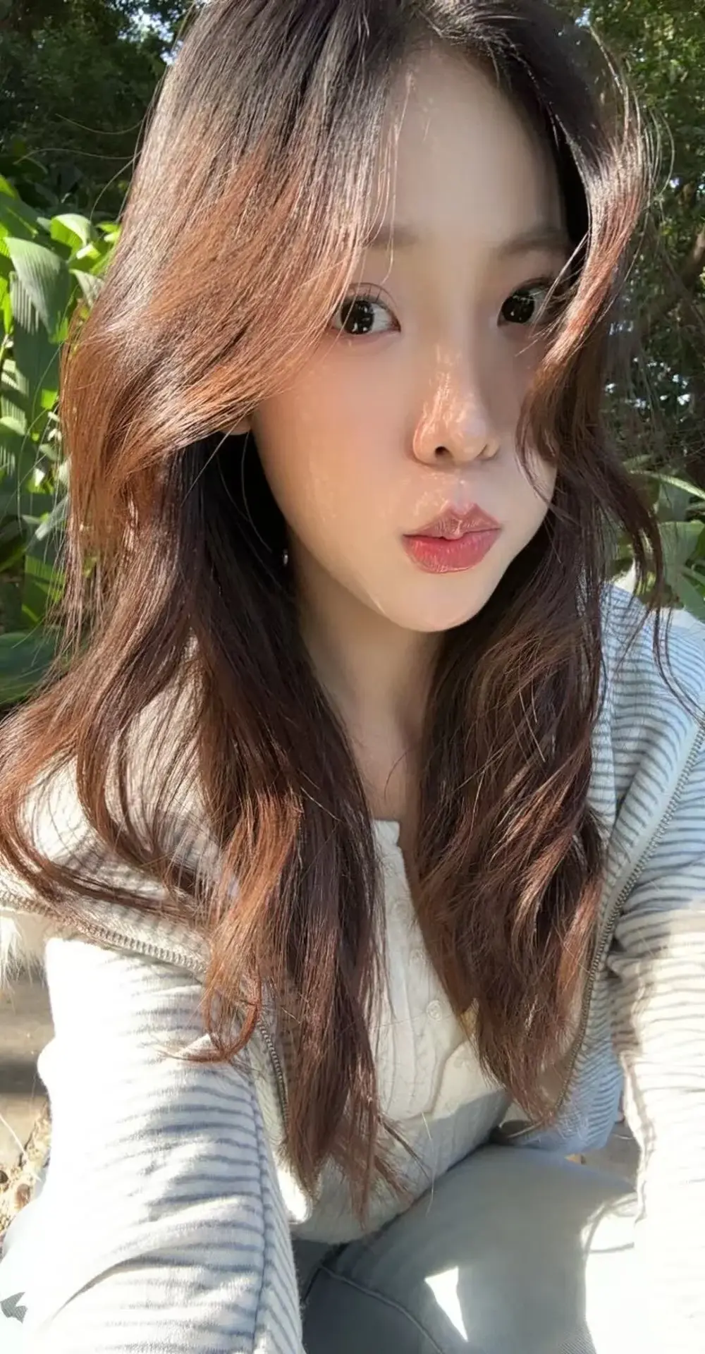 Meng_777