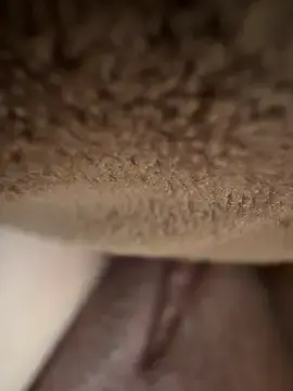 Stripchat Watch Live Sex Cams of SexAngelssss