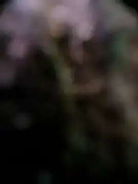 Stripchat Live Sex of Lolo20cm6