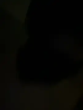 Stripchat Adult Video Chat of qazpqp