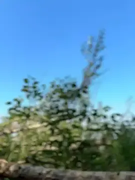 Stripchat Free Live Porn of LavenderHot