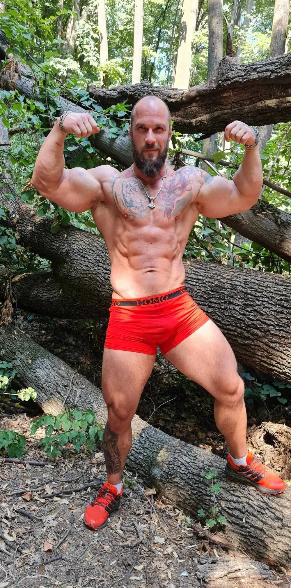 viking_30