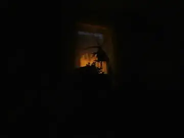 Stripchat Sex Cam of Geiler668
