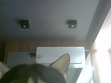 Stripchat Free Live Porn of SkinnyKitten