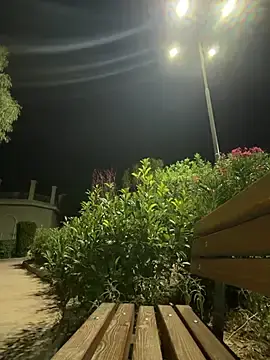 Stripchat Live Porn of AlyssaFoxx_
