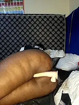 Stripchat Free Live Porn of Lady_booty123