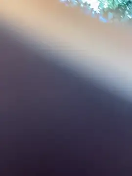 Stripchat Watch Live Sex Cams of Bellaa25
