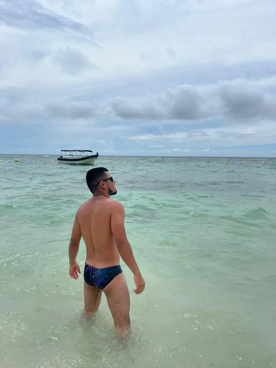 dominikvega