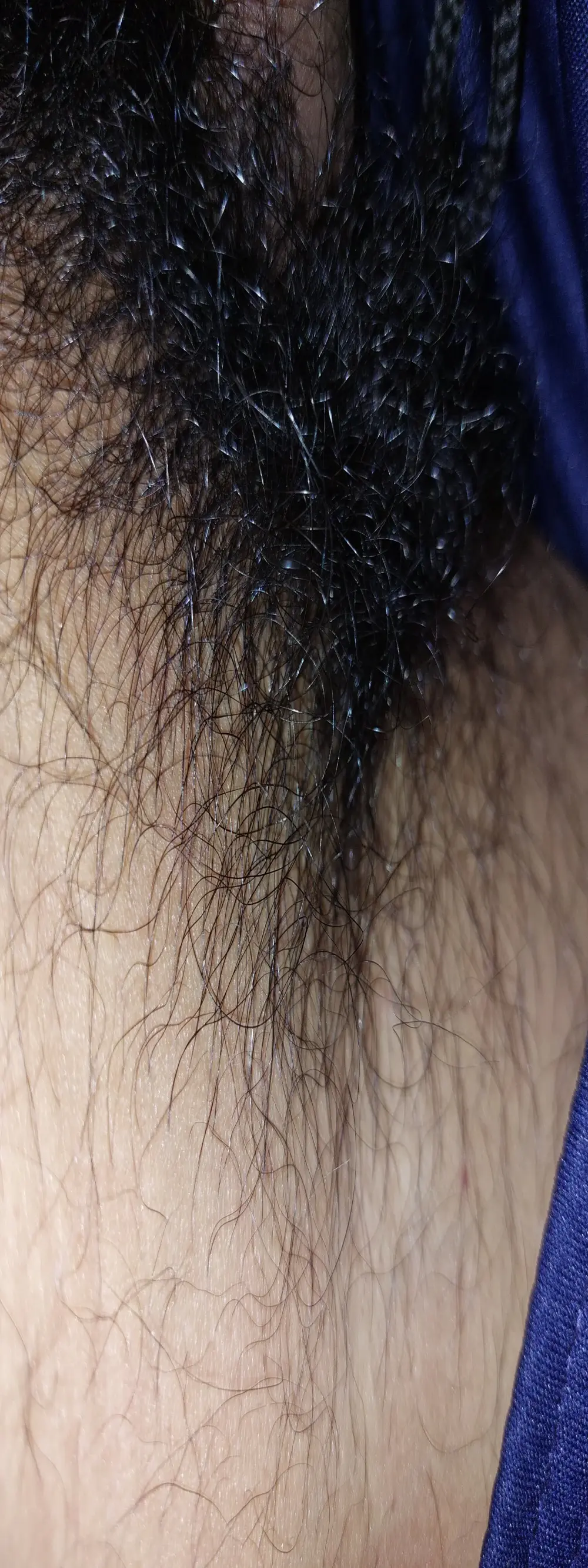 Rishi_7_