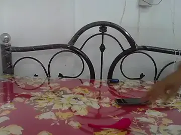 Stripchat Watch Live Sex Cams of cute_lailaa