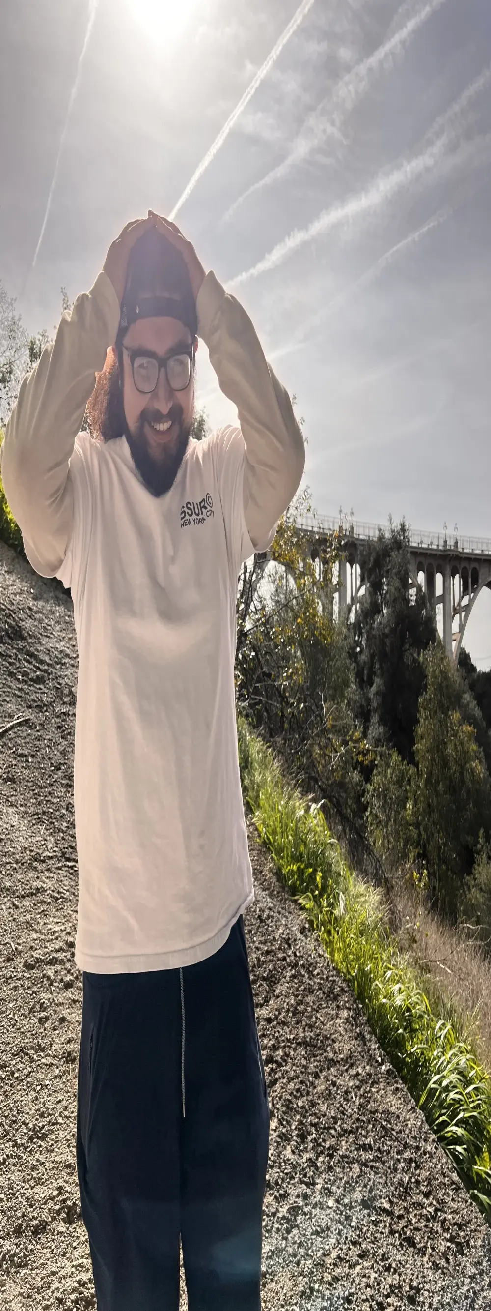 dpenguino
